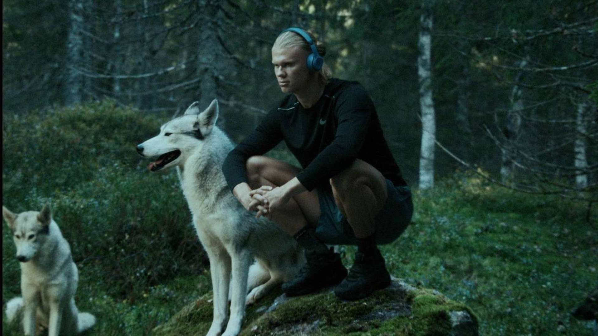 执教理念更 执教理念更