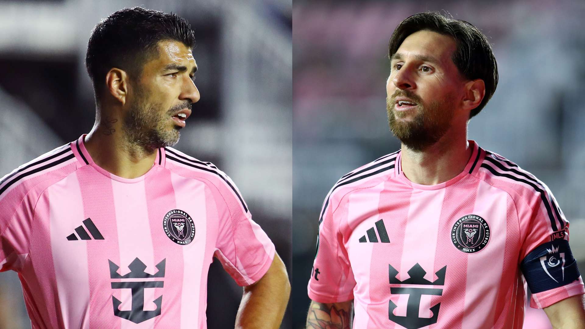 涯的一大亮 涯的一大亮